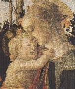 Sandro Botticelli Madonna of the Rose Garden or Madonna and Child with St John the Baptist Germany oil painting artist